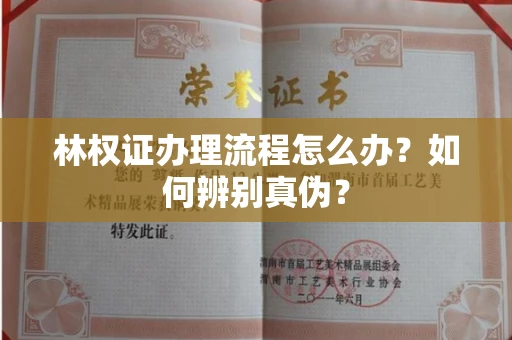 全国林权证办理流程怎么办?如何辨别真伪?