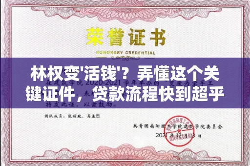 全国林权变'活钱'?弄懂这个关键证件,贷款流程快到超乎想象!